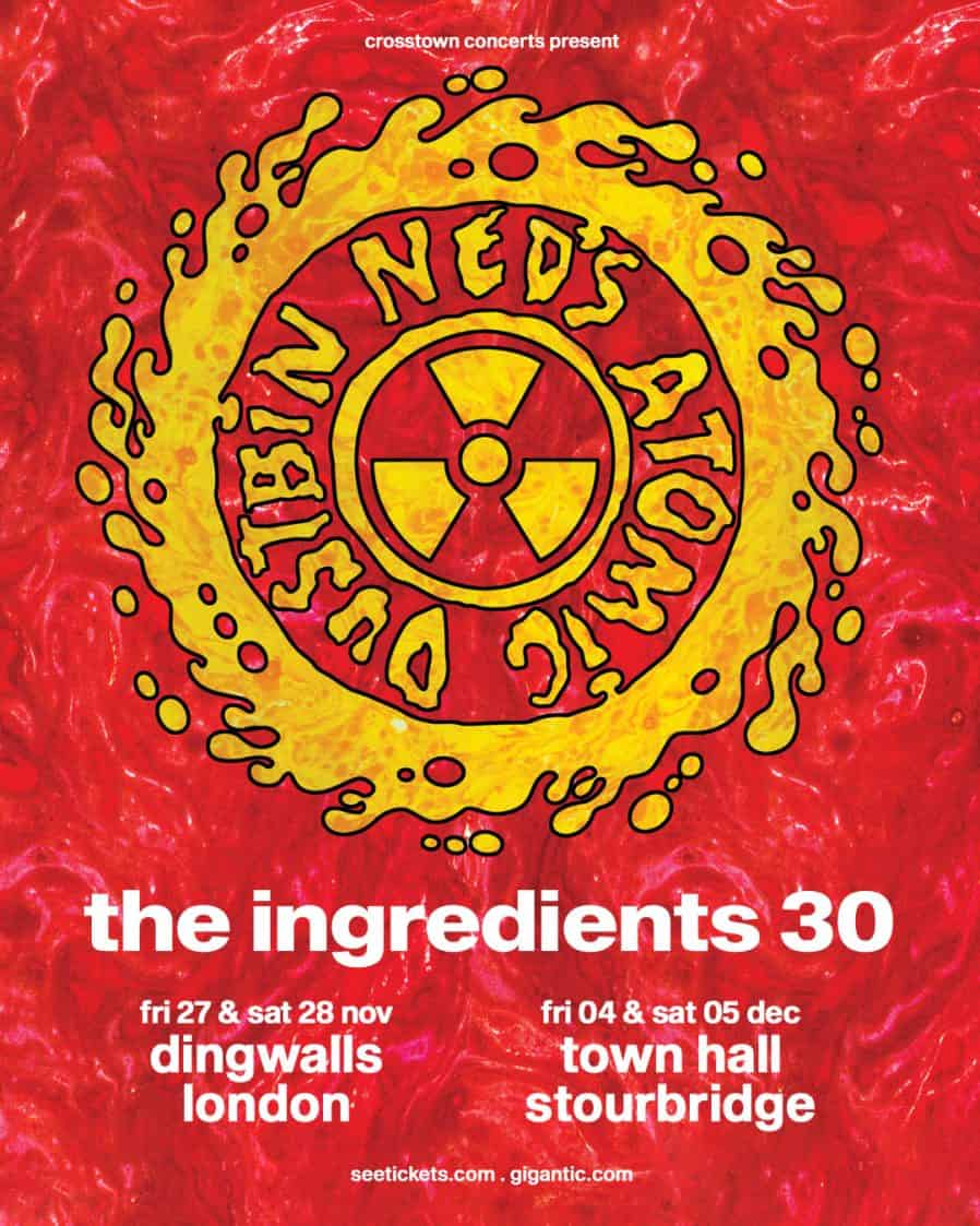 Ned's Atomic Dustbin announce 30th Anniversary 'Ingredients EP' shows