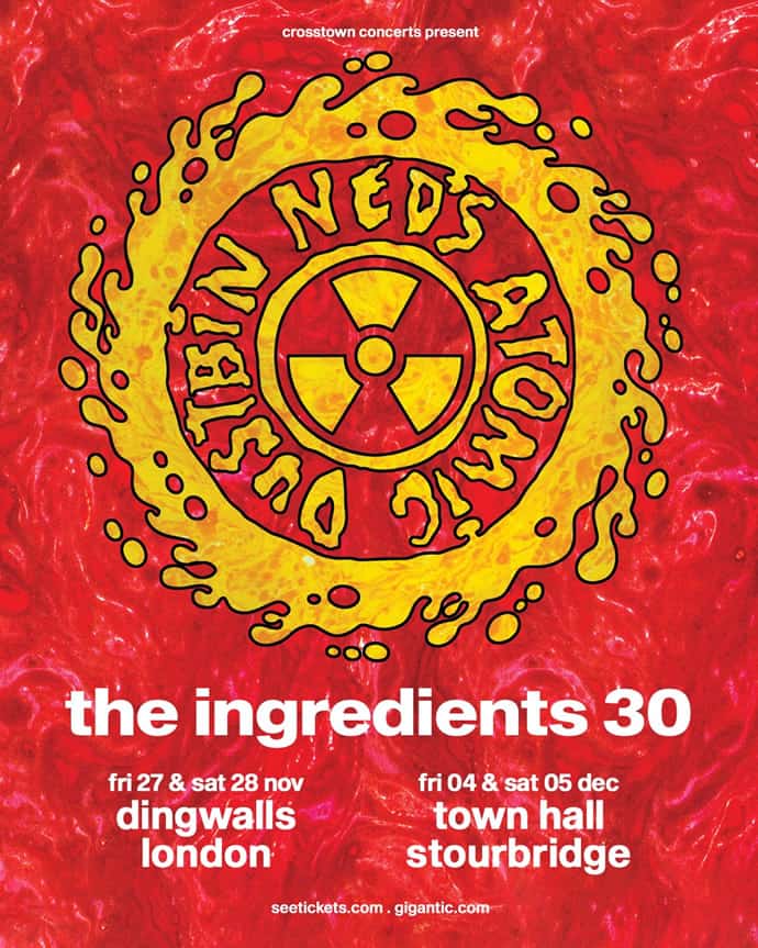 Ned's Atomic Dustbin announce 30th anniversary Ingredients shows