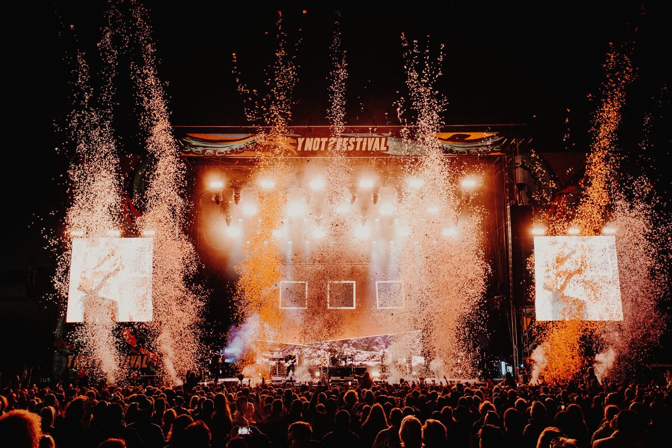 Y Not Fire Y Not Festiva - Essential Info • WithGuitars