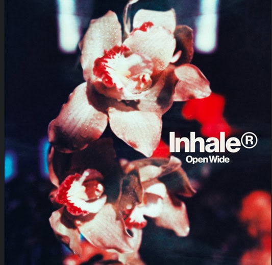 Inhaler Share single ‘A Question Of You’