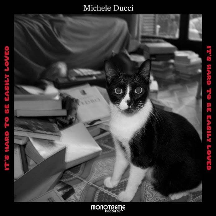 Michele Ducci single 'It's Hard to be Easily Loved'
