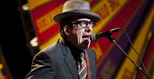 elvis costello