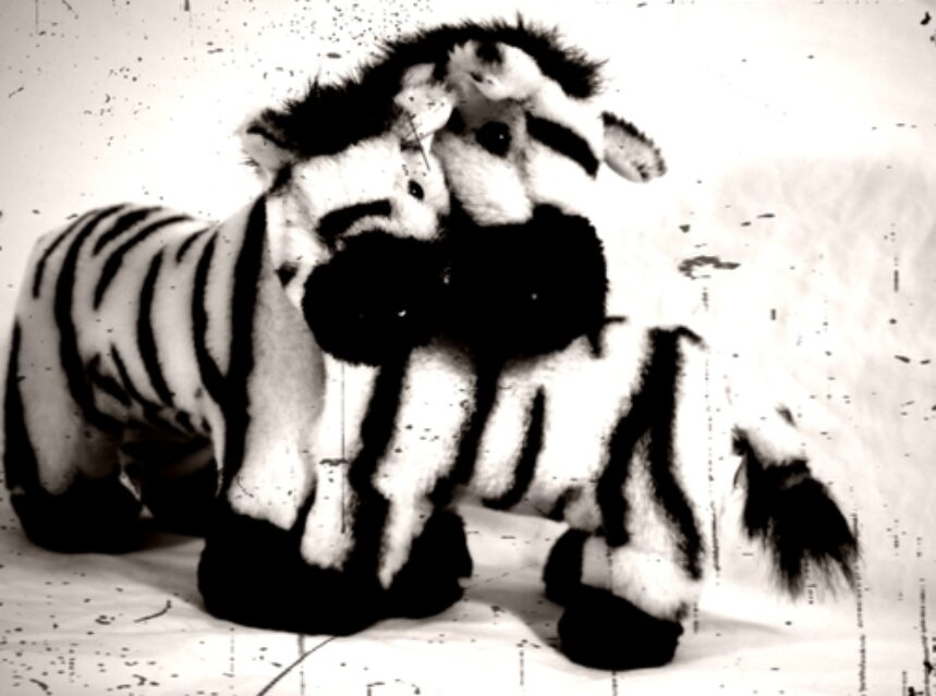 Postcode-Year_Of_The_Zebra-Part_Two-EP-2015-artwork