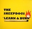 sheepdogs-learn-and-burn-cover